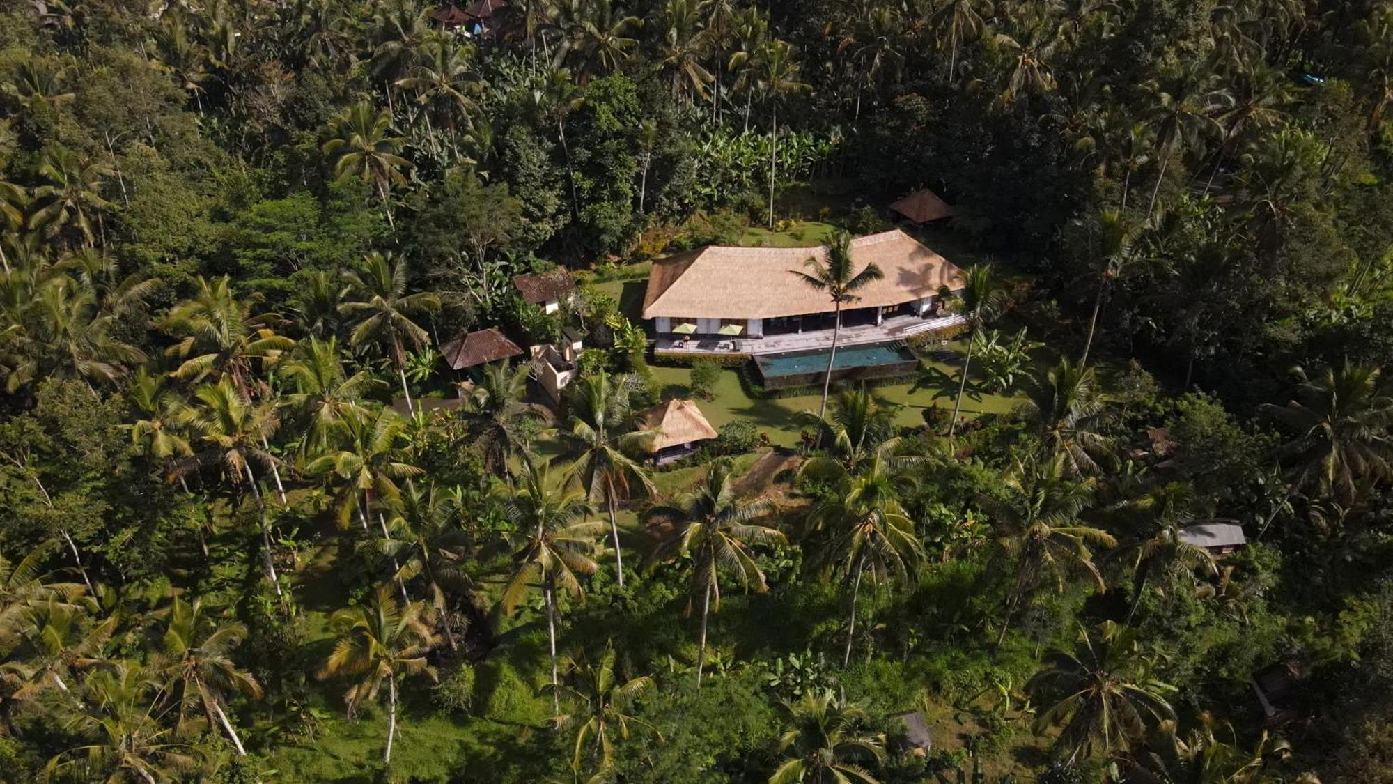 Villa Themma Jungle - Sumptuous 3Br Luxury Villa With Majestic Jungle View North Of Ubud Kültér fotó