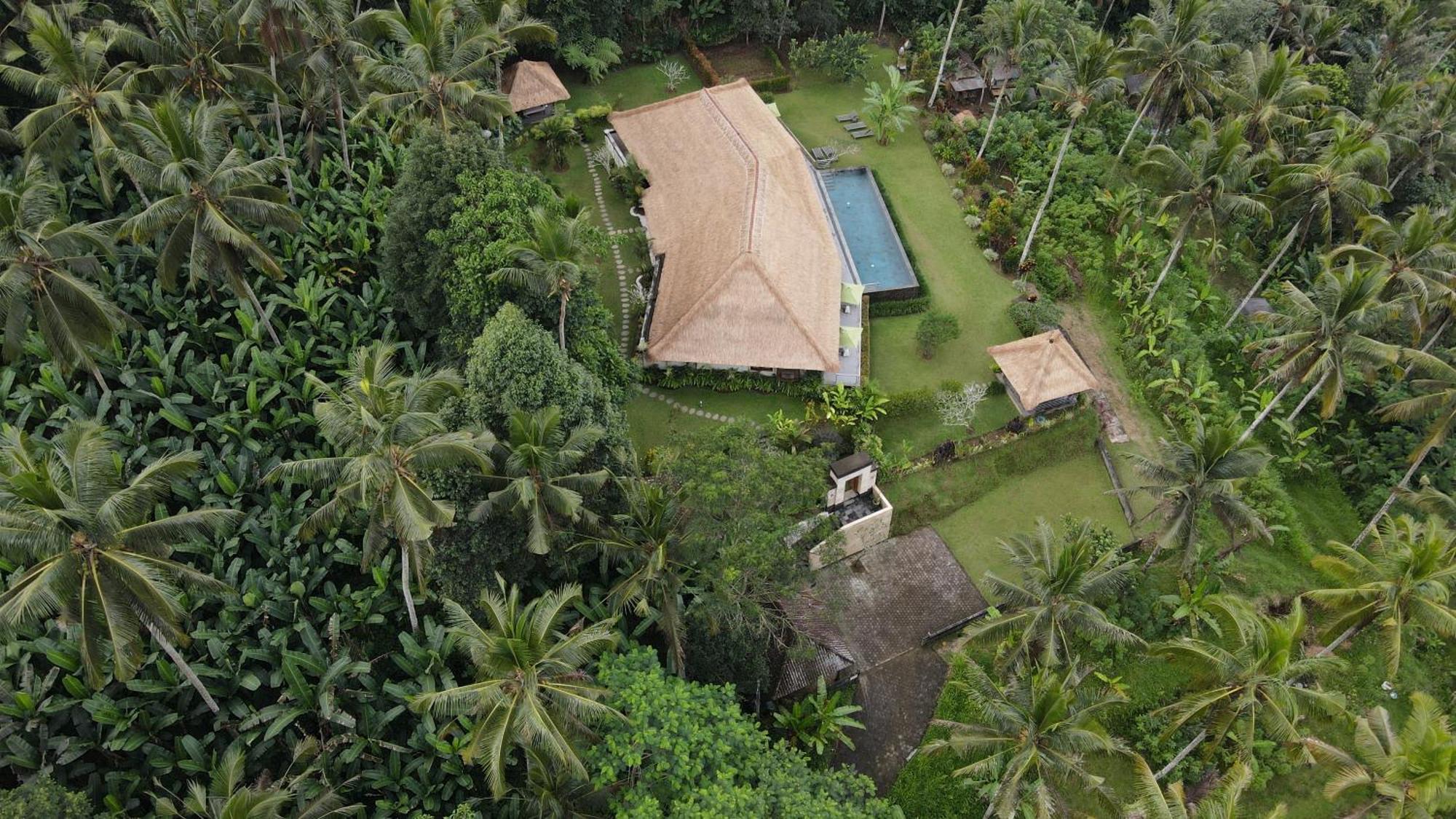 Villa Themma Jungle - Sumptuous 3Br Luxury Villa With Majestic Jungle View North Of Ubud Kültér fotó