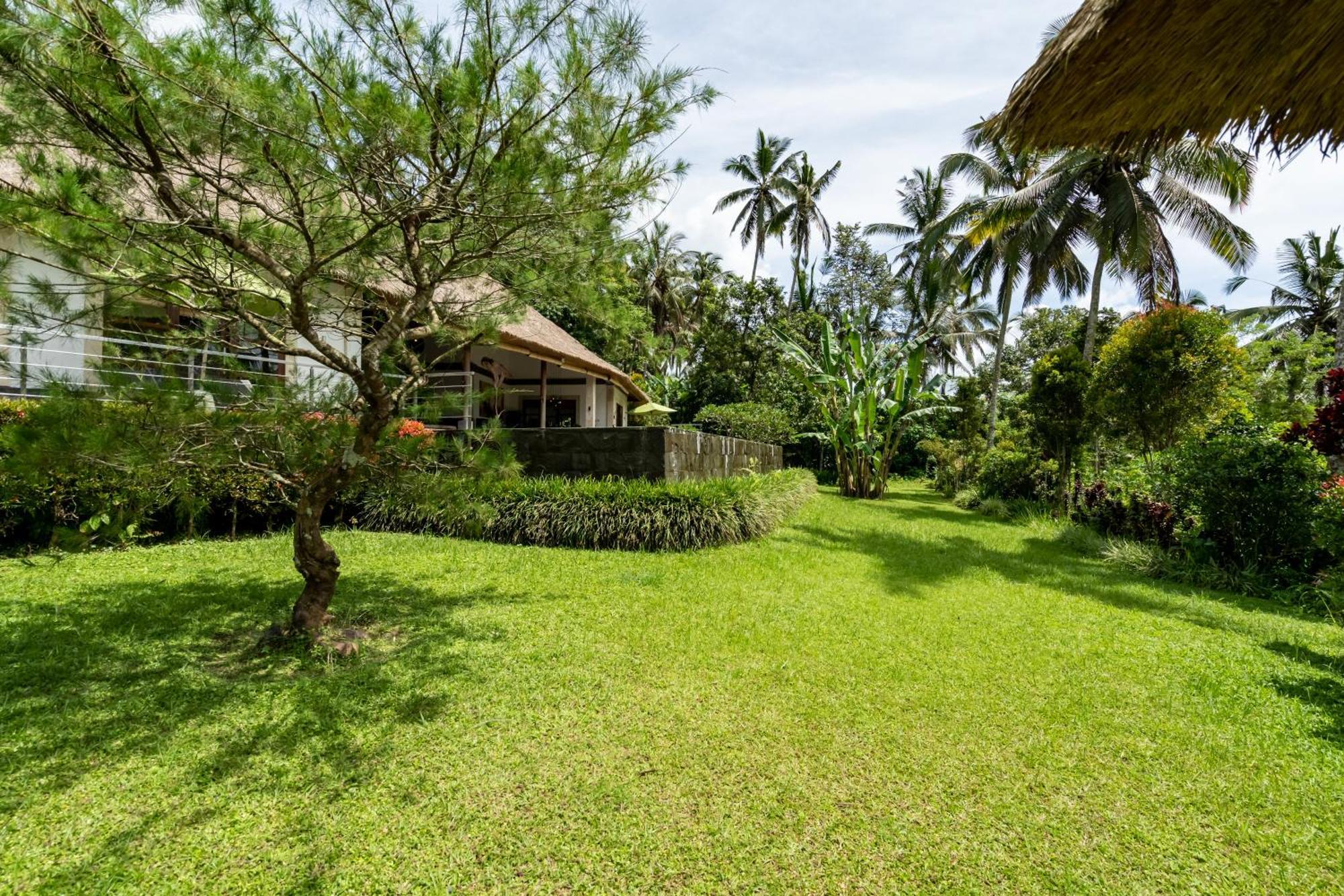 Villa Themma Jungle - Sumptuous 3Br Luxury Villa With Majestic Jungle View North Of Ubud Kültér fotó