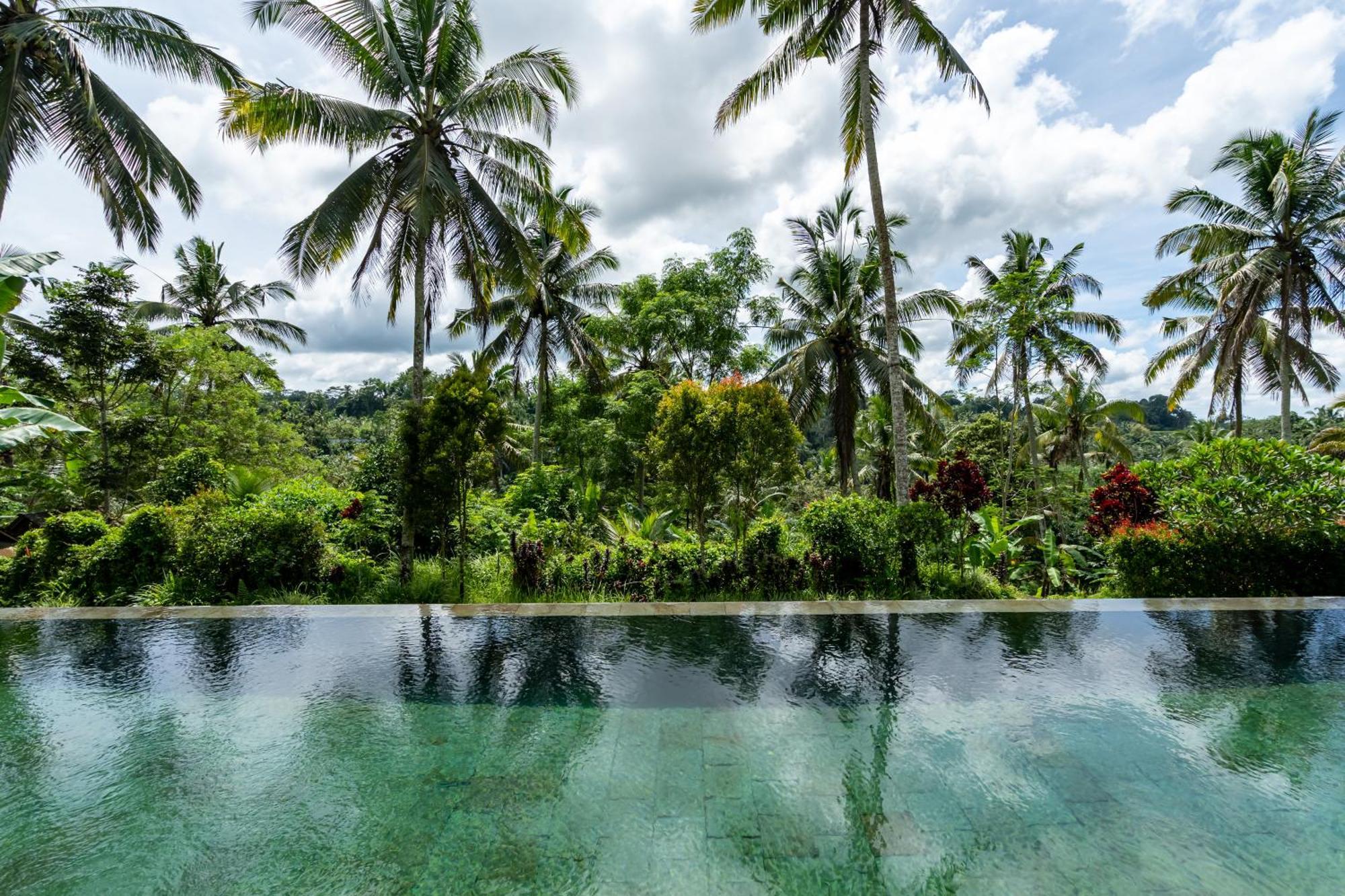 Villa Themma Jungle - Sumptuous 3Br Luxury Villa With Majestic Jungle View North Of Ubud Kültér fotó