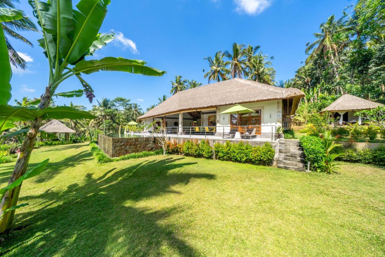 Villa Themma Jungle - Sumptuous 3Br Luxury Villa With Majestic Jungle View North Of Ubud Kültér fotó